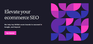 ecommerce seo consultant