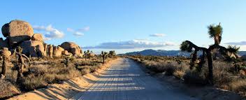 seo copywriting services