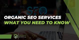 organic seo services