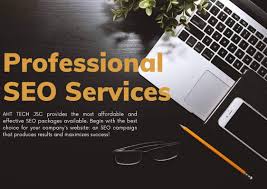 professional seo consultant
