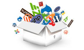 seo web development